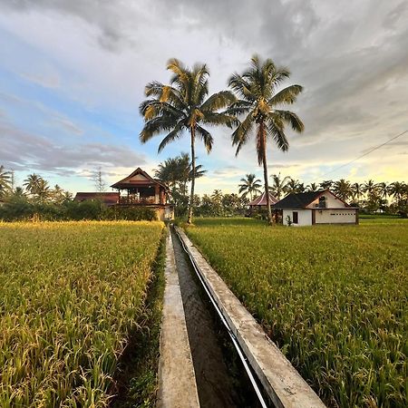 טטבאטו Rice Field Inn - Lombok מראה חיצוני תמונה