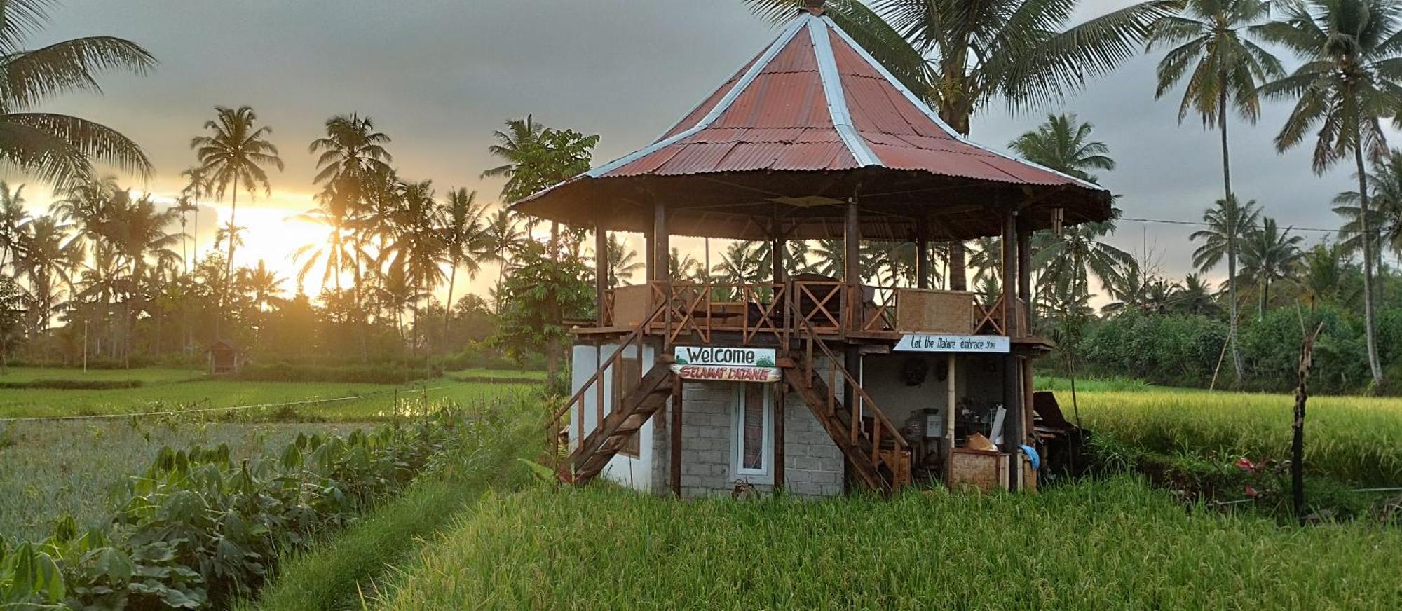 טטבאטו Rice Field Inn - Lombok מראה חיצוני תמונה