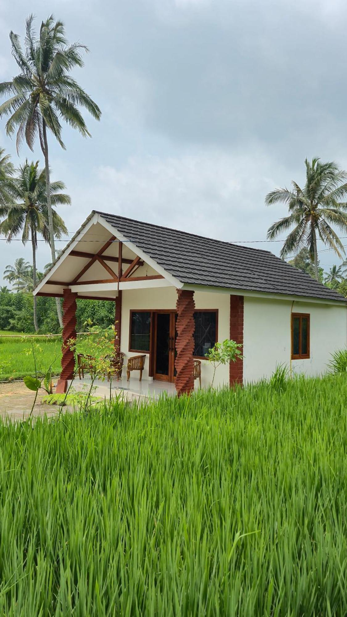 טטבאטו Rice Field Inn - Lombok מראה חיצוני תמונה