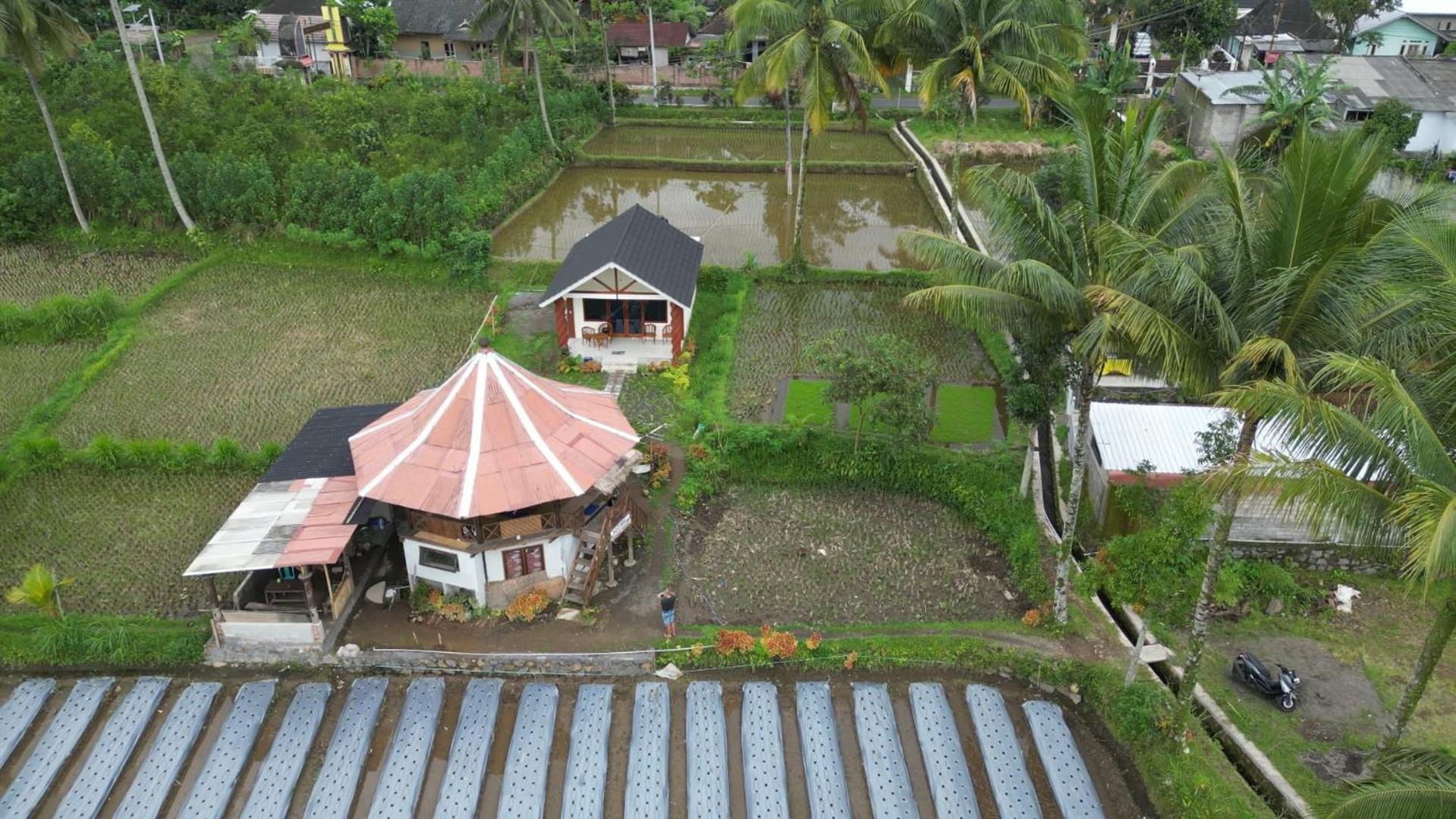 טטבאטו Rice Field Inn - Lombok מראה חיצוני תמונה