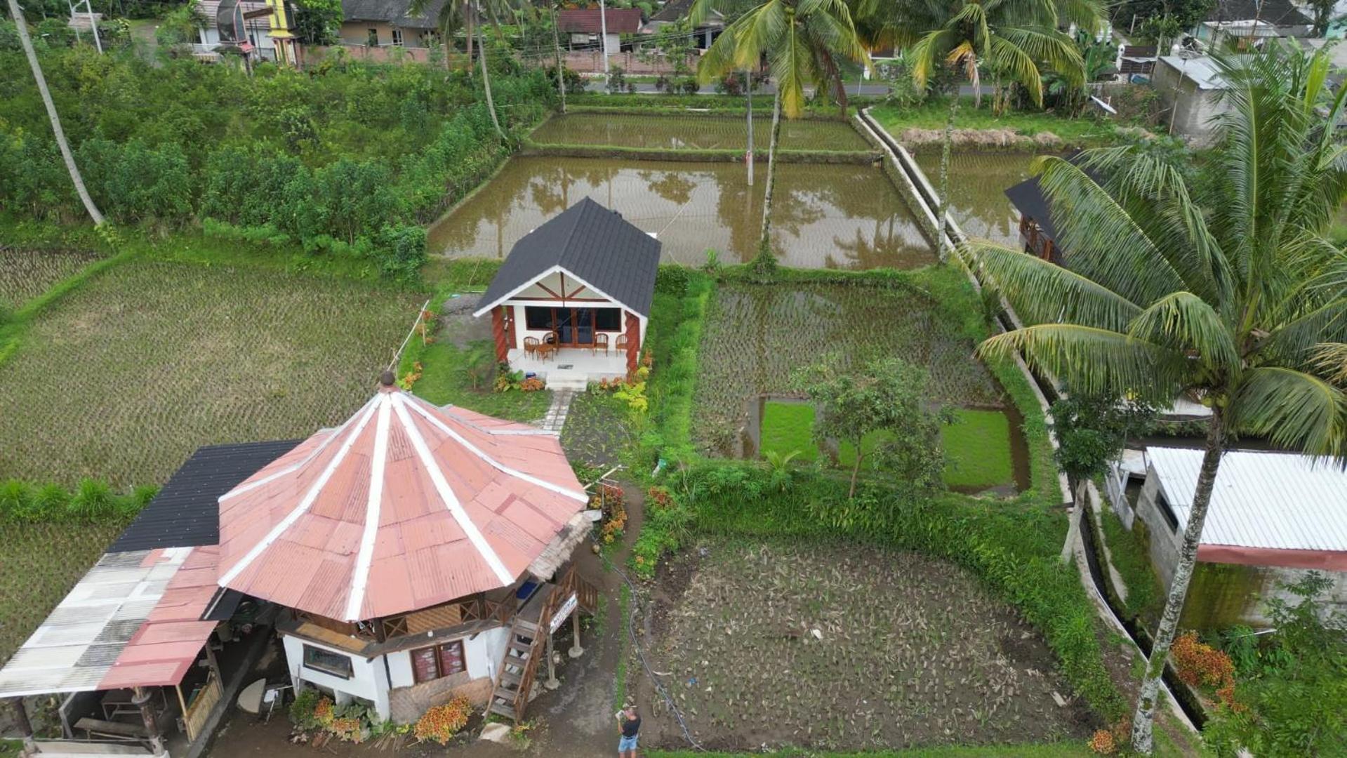 טטבאטו Rice Field Inn - Lombok מראה חיצוני תמונה