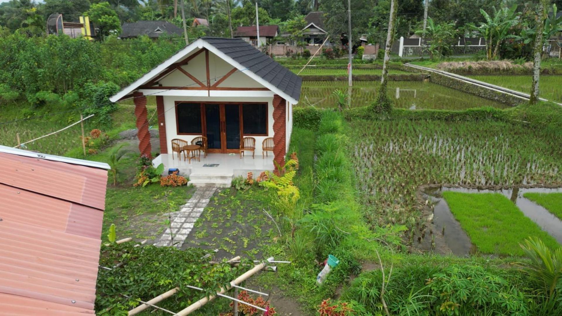 טטבאטו Rice Field Inn - Lombok מראה חיצוני תמונה