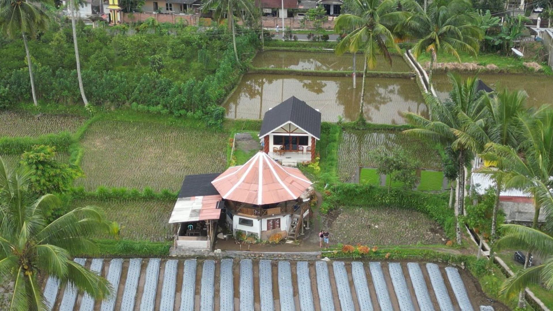 טטבאטו Rice Field Inn - Lombok מראה חיצוני תמונה