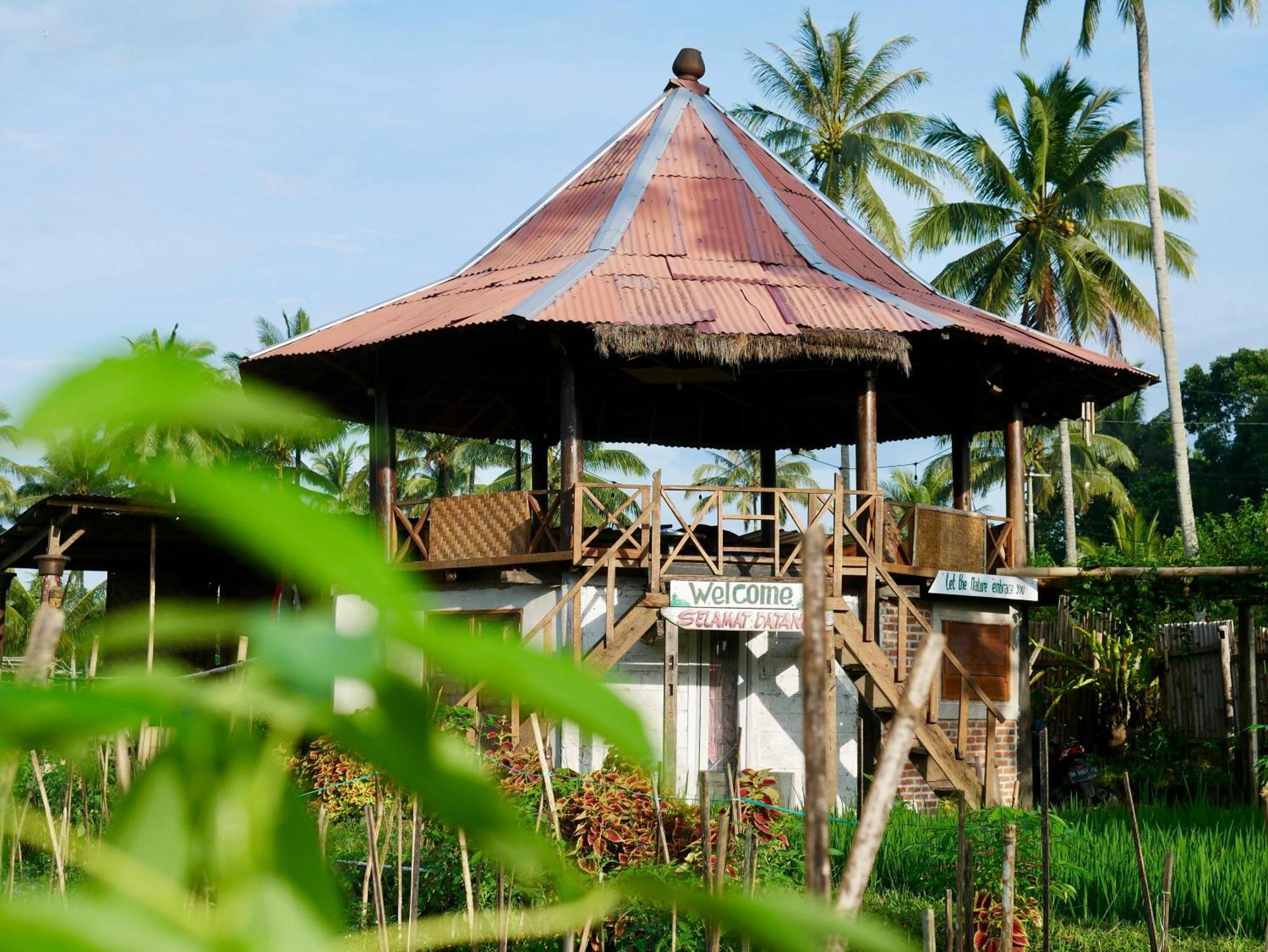 טטבאטו Rice Field Inn - Lombok מראה חיצוני תמונה