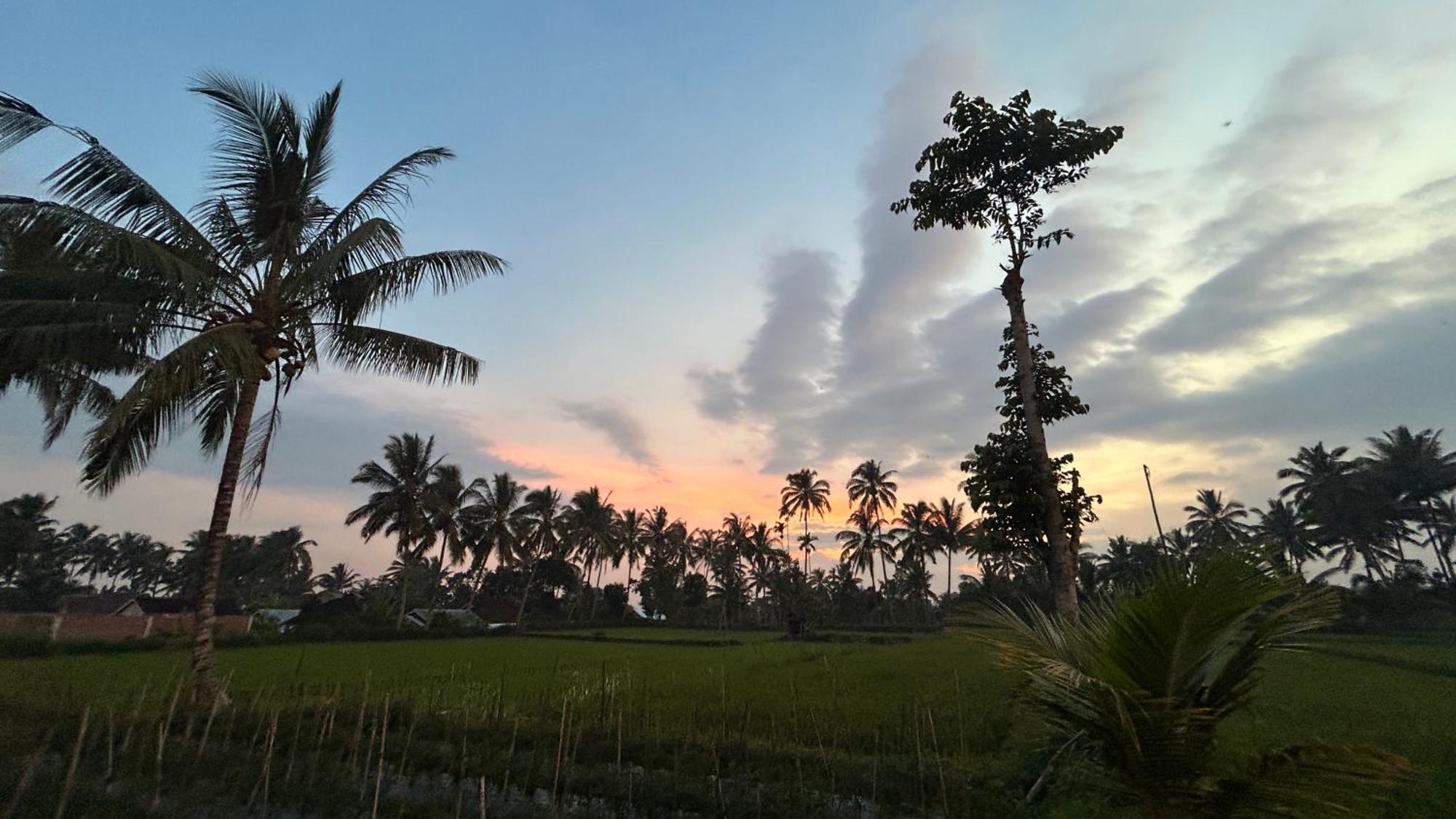 טטבאטו Rice Field Inn - Lombok מראה חיצוני תמונה